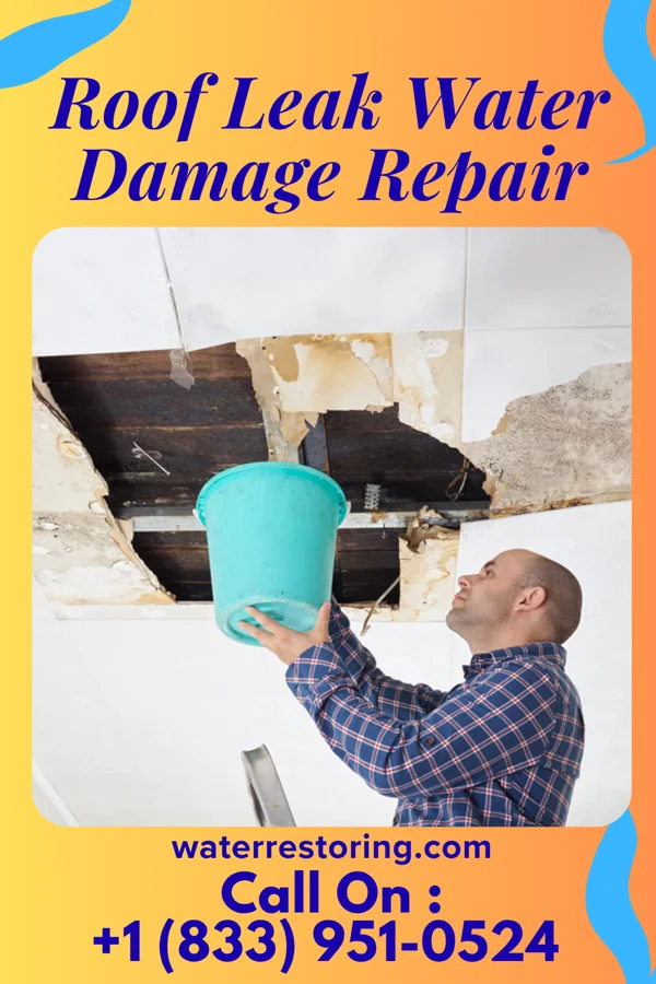 Roof Leak Water Damage Repair in Villa del Sol, TX